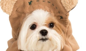 Star Wars Ewok Dog Costume Now Available